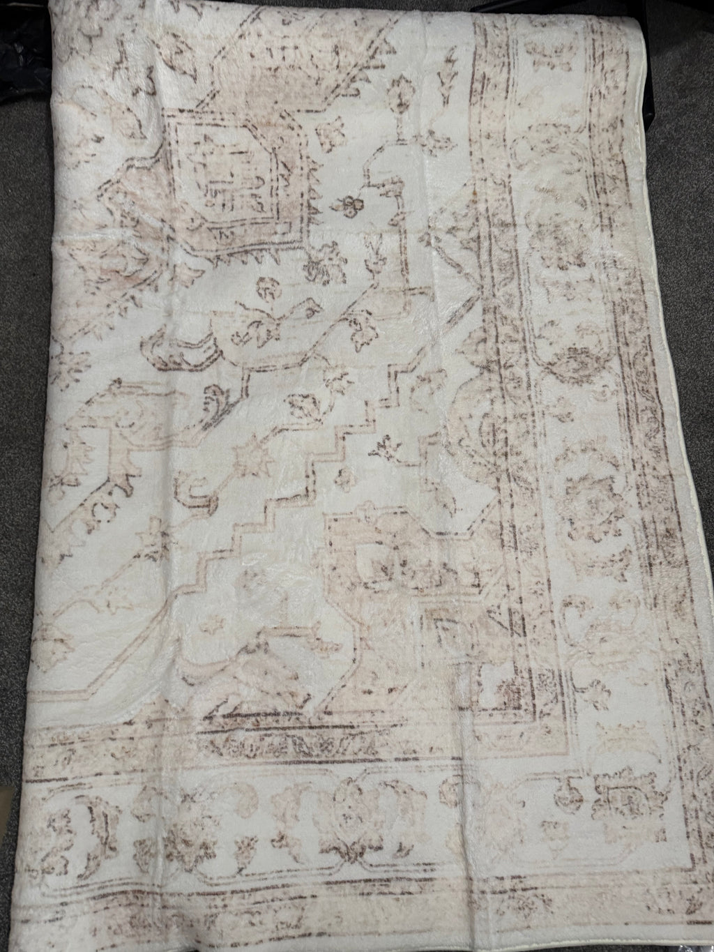 Cream and taupe rug with a faded traditional border pattern