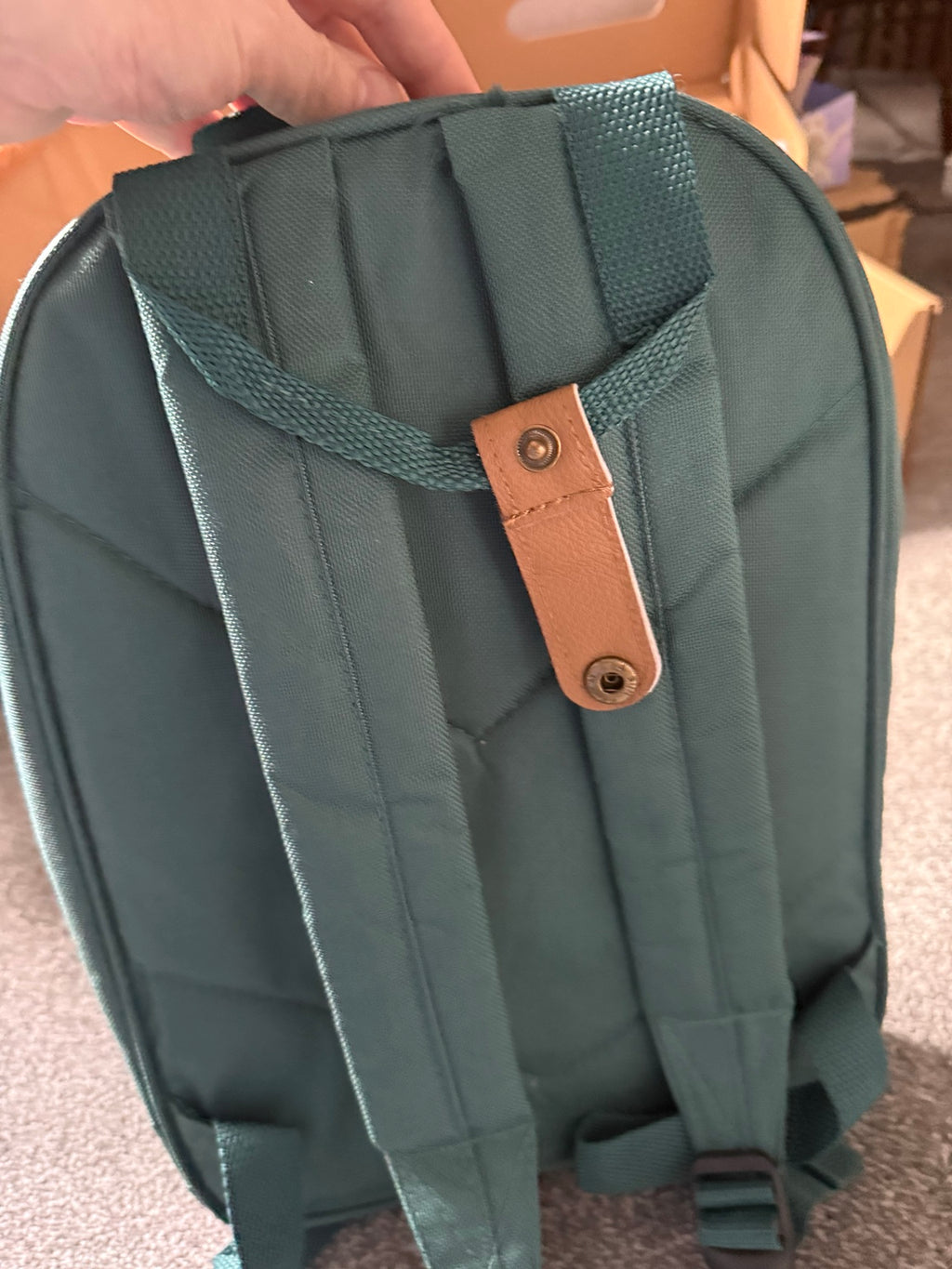 Back of the green rucksack showing padded adjustable shoulder straps