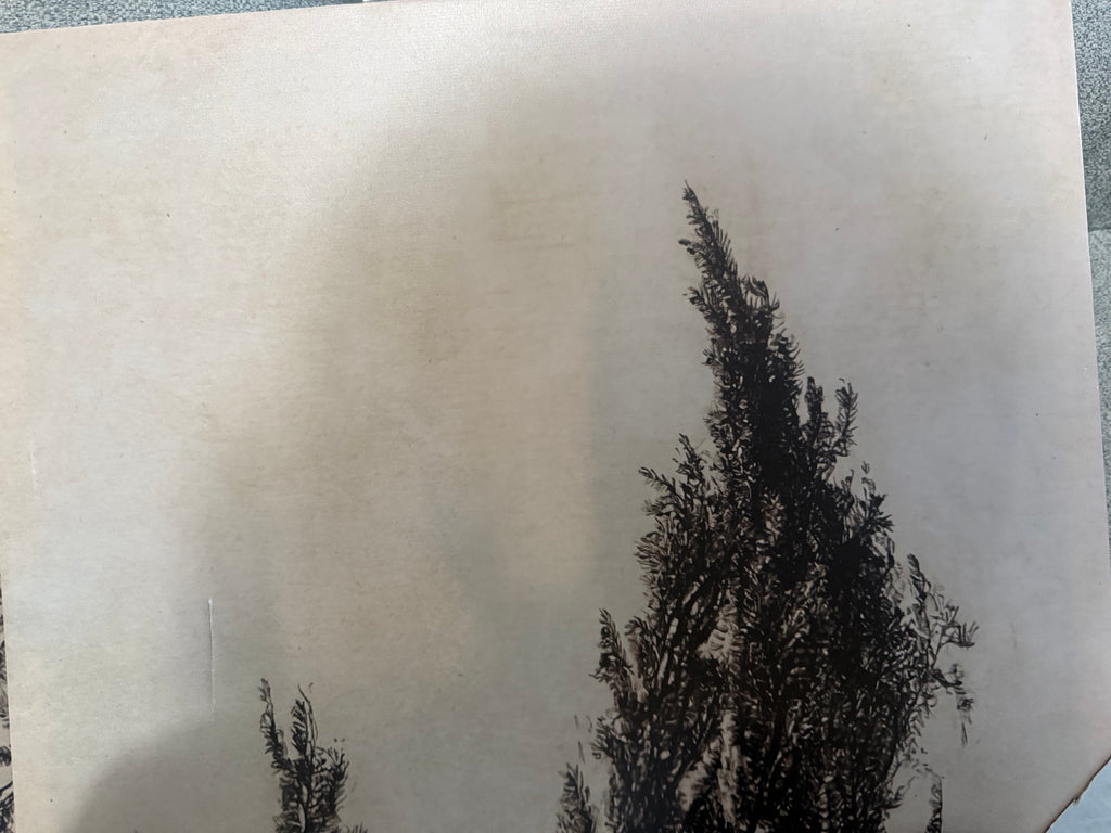 Black Tree Silhouette Wall Art – Three-Piece Set – additional view 3