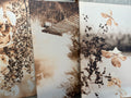 Sepia Botanical and Woodland Wall Art – Three-Piece Set – product view