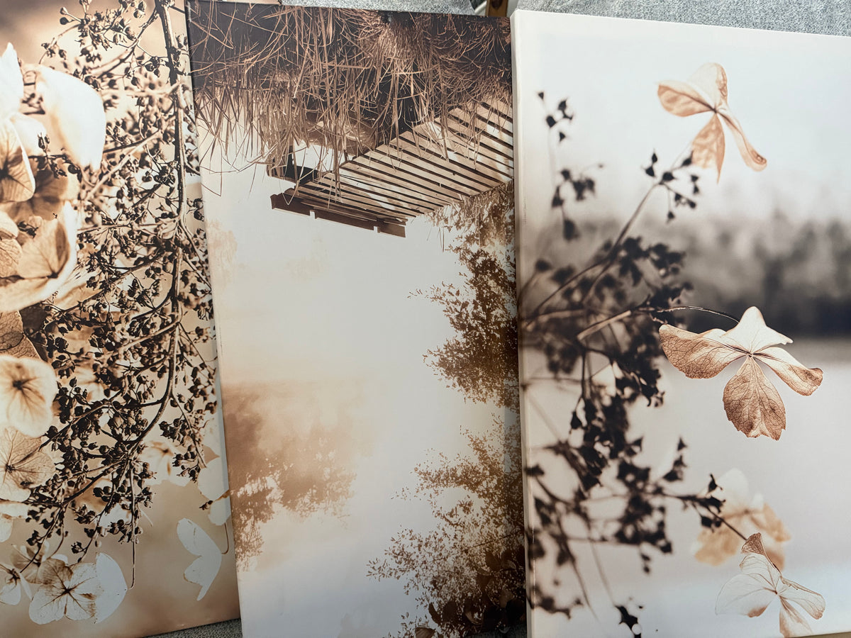 Sepia Botanical and Woodland Wall Art – Three-Piece Set – product view